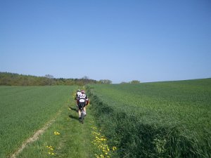 Bungsberg-CTF 482